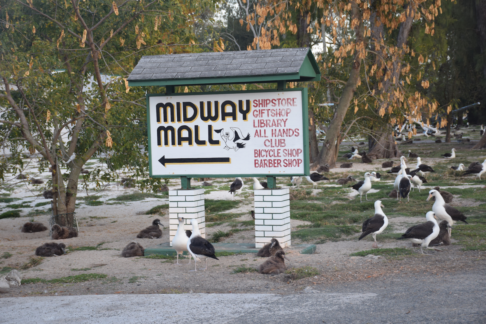 Midway, Mall, shops, things to do, albatross, Atoll, Northwestern Hawaiian Islands, Barber Shop