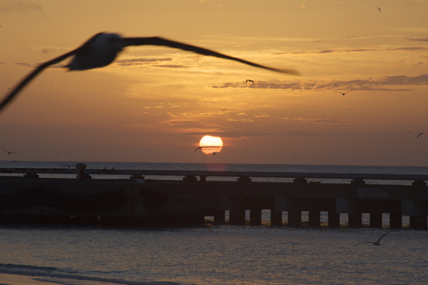 Midway, Atoll, evening, sunset, cargo, pier, fueling, albatross, silhouet, photography, northwestern hawaiian islands, things to do