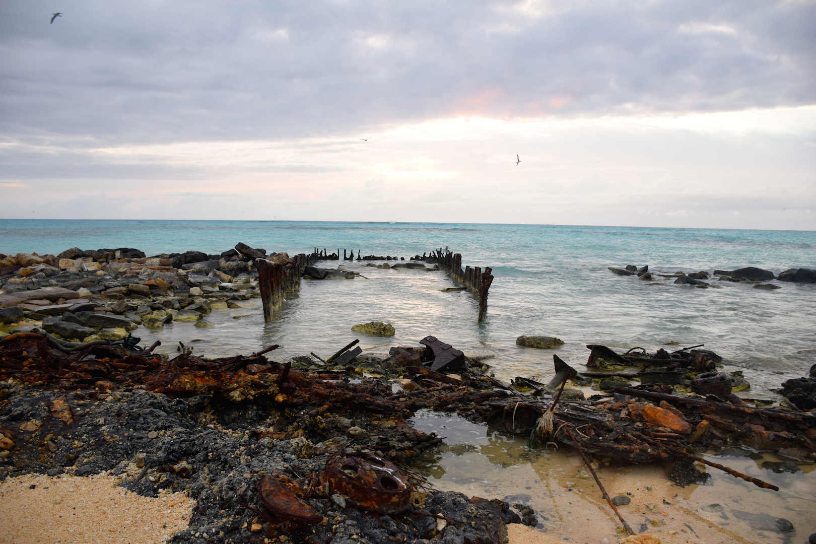 Shipwreck, Albatross, Midway, Atoll