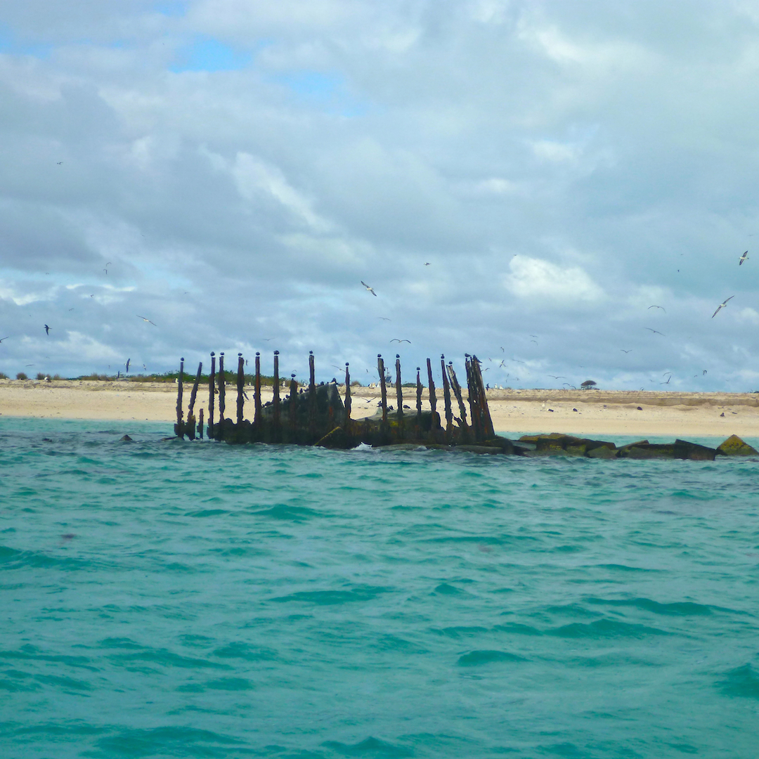 remains, wreckage, shipwreck, Midway, Atoll, Island, Hawaii, archipelago, WWII, WW2, world war, II, 2, two, relic, war, artifact