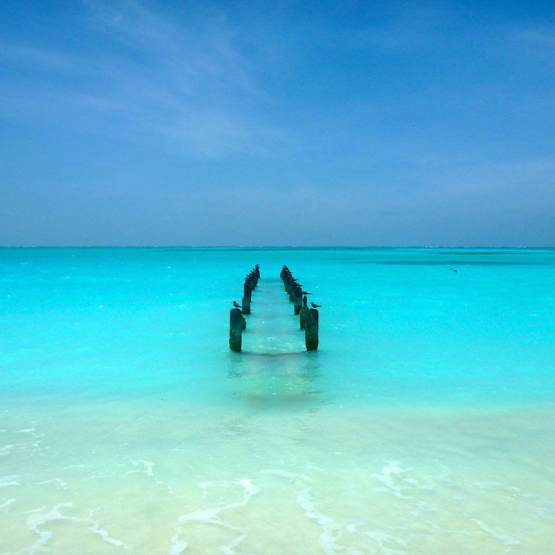 birds, dock, beautiful, ocean, sea, water, turquoise, Midway, Atoll, Island, Hawaii, archipelago, WWII, WW2, world war, II, 2, two, relic, war, artifact