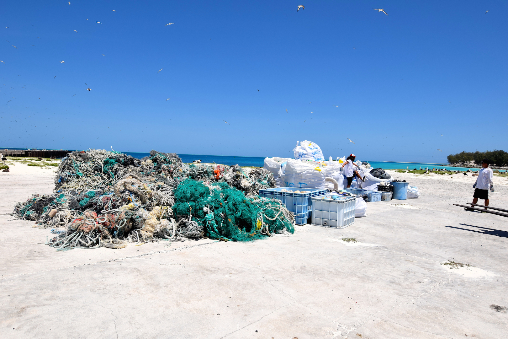 Midway, Atoll, Island, Northwestern, Hawaiian, beach, clean up, marine, debris, plastic, nets, floats, fishing, removal