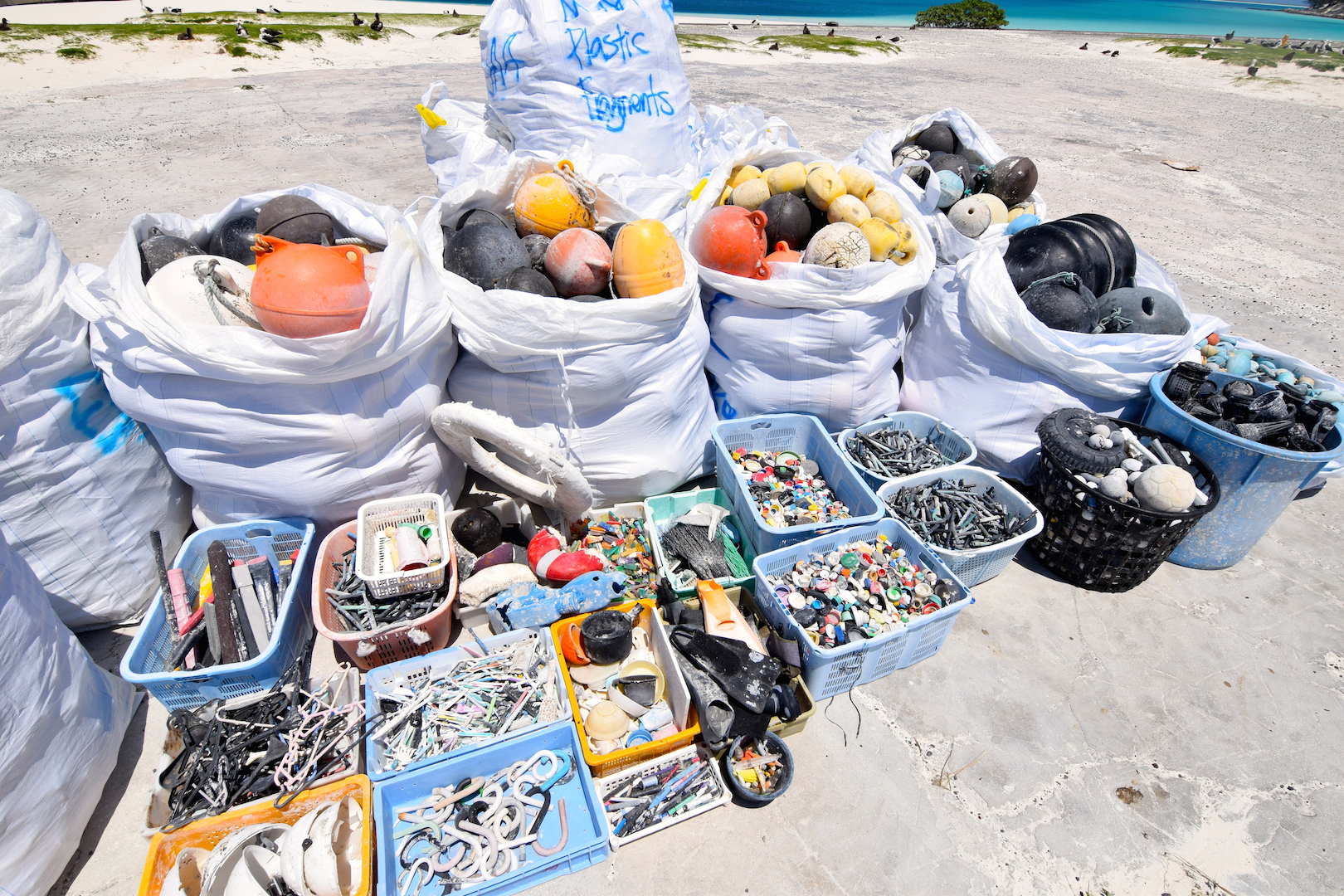 Midway, Atoll, Island, Northwestern, Hawaiian, beach, clean up, marine, debris, plastic, nets, floats, fishing, removal, oyster spacers, toothbrush, hardhats, umbrella handles, pens, bottle caps, life rings, bottles, baseballs, eel cone traps, lighters