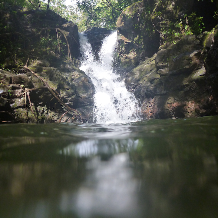 Kalauao, Falls, Aiea, Loop, Trail, junction, Oahu, Hawaii, Hike, Explore, Adventure, waterfall