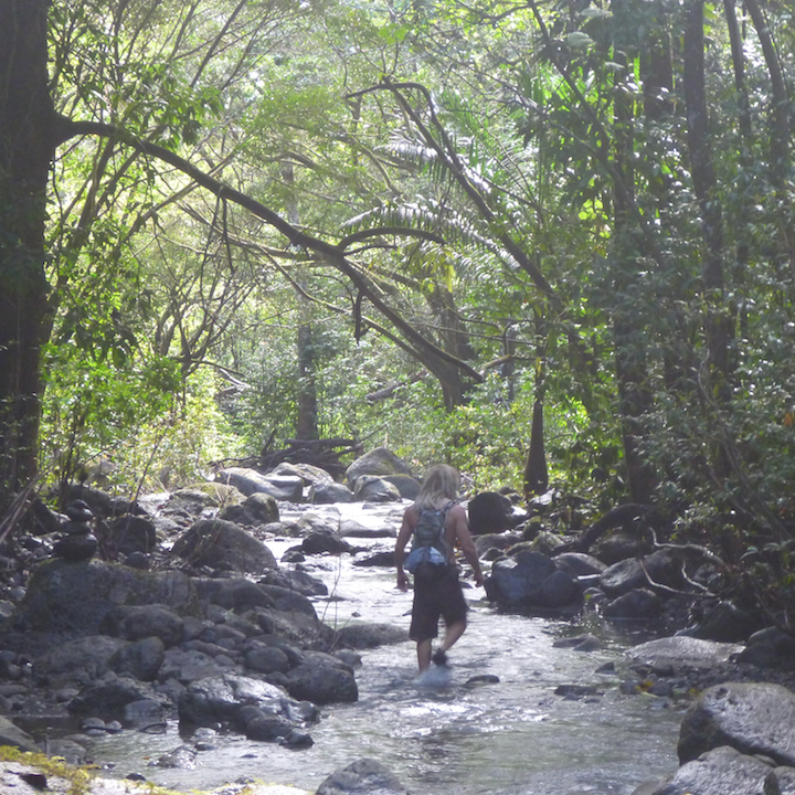 Kalauao, Falls, Aiea, Loop, Trail, junction, Oahu, Hawaii, Hike, Explore, Adventure, stream, river, creek, wet shoes