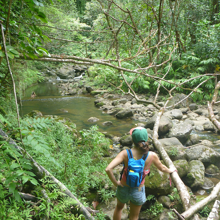 Koloa gulch, fallen tree, hawaii, oahu, girl, chick, woman, creek, river, stream, crossing, hiking, trek