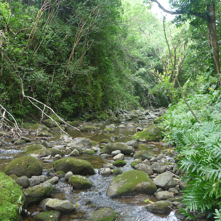 Koloa Gulch, Hawaii, Oahu