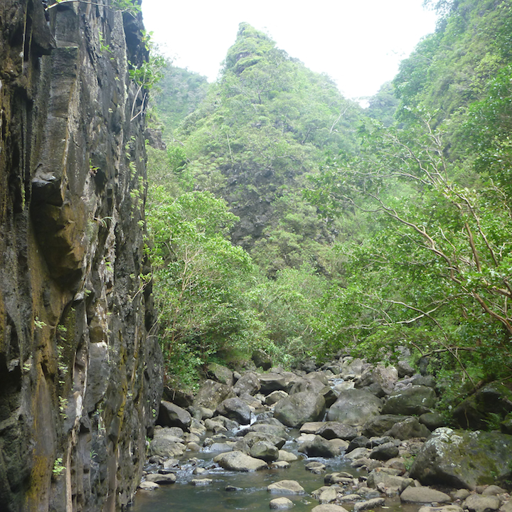 Oahu, Hawaii, hike, Koloa gulch, the fork