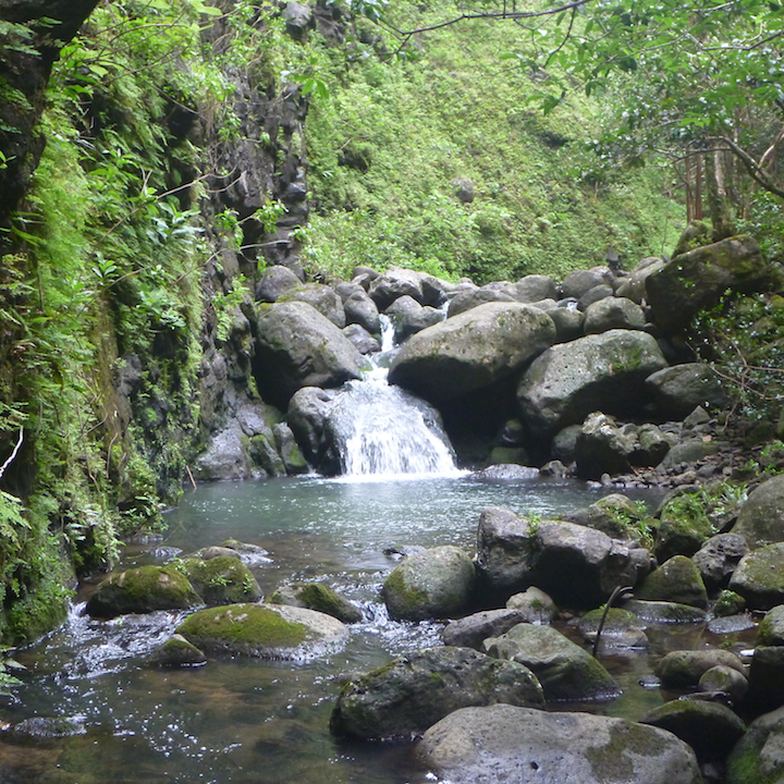 Koloa gulch, oahu, hawaii, hike, cascade, waterfall, falls, stream, river, creek