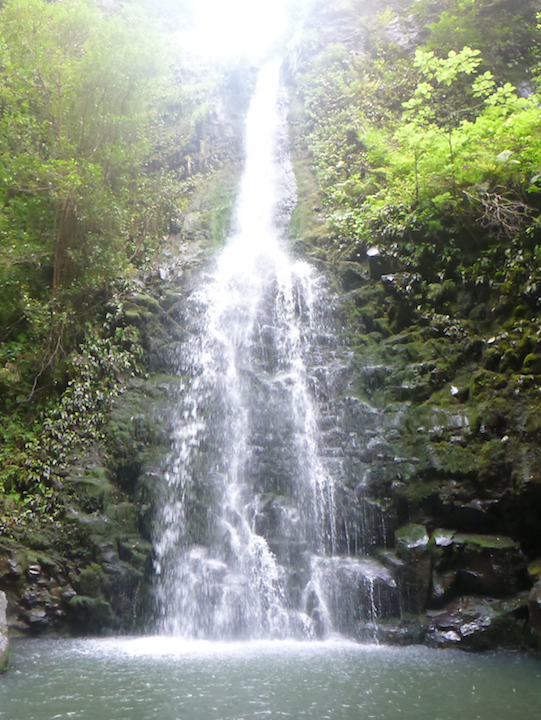 Oahu, Hawaii, Koloa falls, right fork