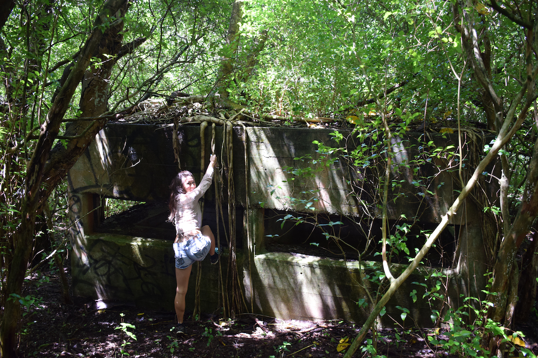 Hawaii, Oahu, Battery, Bunker,reservation, Wilridge, Lewis S. Kirkpatrick, Wili, Wiliwilinui, WW, II, 2, WWII, two, world war, ruins, military, army, coastal, defense, exploring, discovering, hiking, forest, jungle, secret, abandoned, hidden