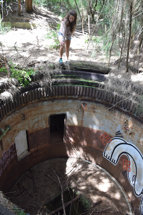 Hawaii, Oahu, Battery, Bunker,reservation, Wilridge, Lewis S. Kirkpatrick, Wili, Wiliwilinui, WW, II, 2, WWII, two, world war, ruins, military, army, coastal, defense, exploring, discovering, hiking, forest, jungle, secret, abandoned, hidden, Steel, Barbette, Turret, 8-inch, gun, USS Lexington