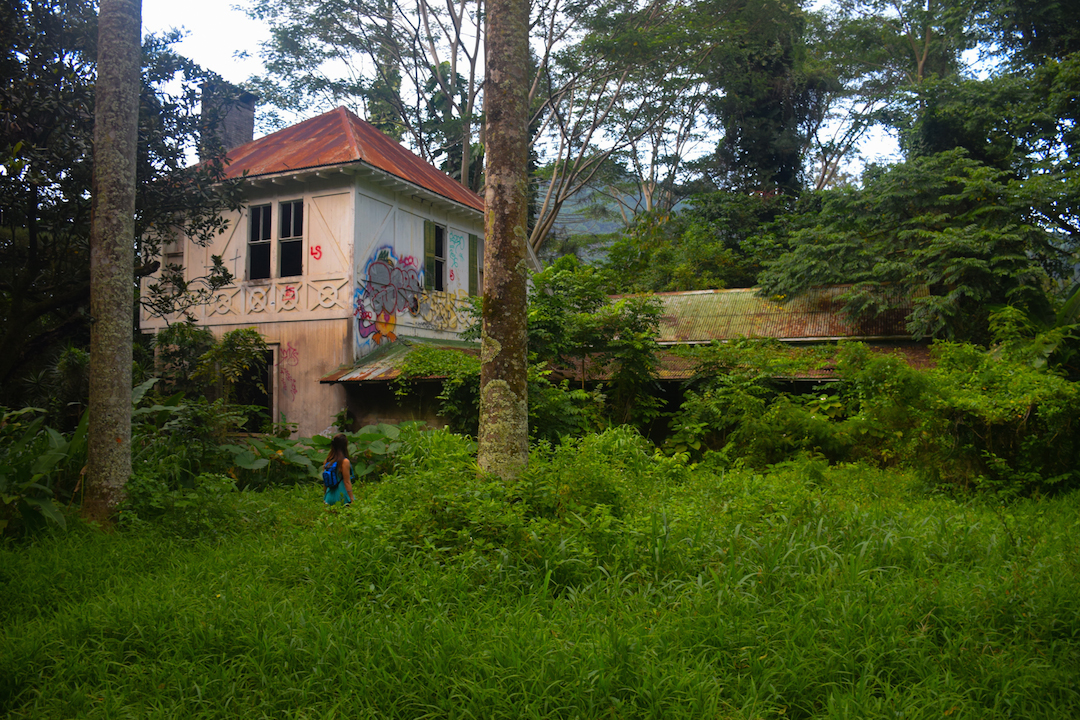 Haunted, house, manor, plantation, home, mansion, abandoned, forest, jungle, Maunawili, Oahu, Hawaii, Ranch, Boyd, Irwin, Creepy, Scary, overgrown