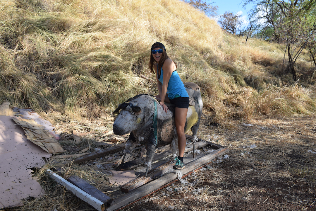 Fort Barrette, Bunker, Battery, Artillery, Oahu, Hawaii, WW2, World War 2, explore, Discover, archery, animal, target