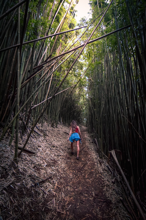 Hawaii, Oahu, Adventure, Explore, Hike, Forest, Jungle, Trail, Koolau, Mountains, Tantalus, Sunset, hawaiifunshine, radio tower, phone tower, the tower, bamboo