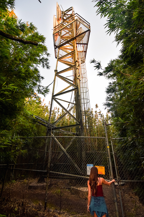 Hawaii, Oahu, Adventure, Explore, Hike, Forest, Jungle, Trail, Koolau, Mountains, Tantalus, Sunset, hawaiifunshine, radio tower, phone tower, the tower