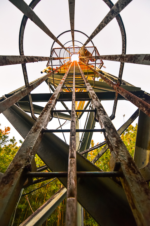 Hawaii, Oahu, Adventure, Explore, Hike, Forest, Jungle, Trail, Koolau, Mountains, Tantalus, Sunset, hawaiifunshine, radio tower, phone tower, the tower