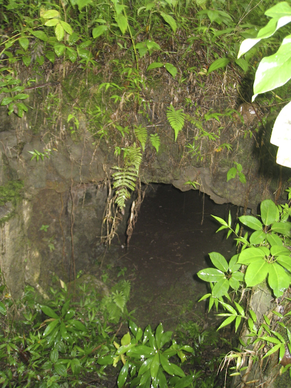 Hawaii, Oahu, Caves, Hiking, Waimalu, ditch, McCandless ditch, tunnel, irrigation, caving, spelunking, underground, underworld