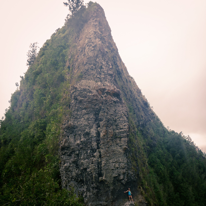 Hawaii, Oahu, Hike, Trek, Cliff, Koolau, Mountain, Ridge, Island, Razor back, Pali, lookout, puka, Pali Puka, beautiful, girl, woman, scenery, view