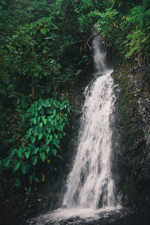 Upper, Waihe'e, Falls, Hike, Oahu, Hawaii