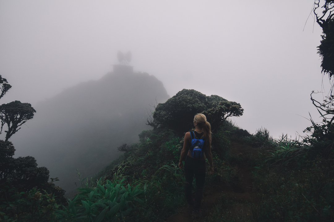 Hawaii, Oahu, Moanalua, Forest, Jungle, Hike, Trek, exploration, discover, ridge, Koolau, mountain, stairway, heaven, summit