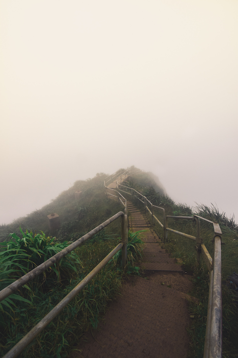 Hawaii, Oahu, Moanalua, Forest, Jungle, Hike, Trek, exploration, discover, ridge, Koolau, mountain, Haiku, stairs, stairway to heaven