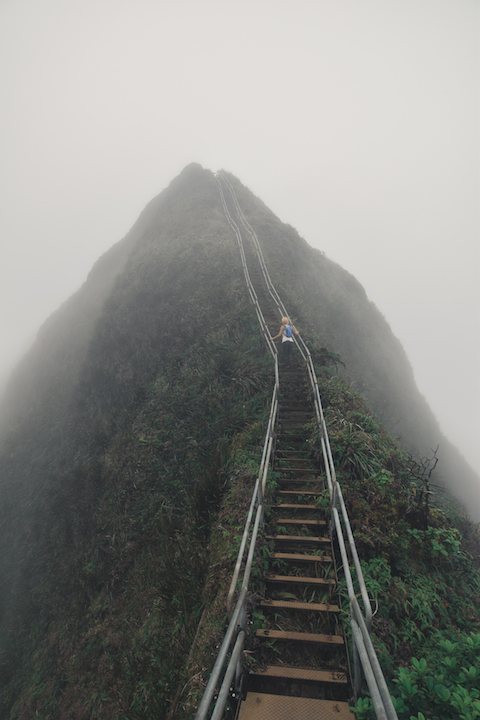 Hawaii, Oahu, Moanalua, Forest, Jungle, Hike, Trek, exploration, discover, ridge, Koolau, mountain, Haiku, stairs, stairway to heaven