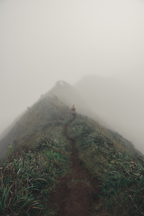 Hawaii, Oahu, Moanalua, Forest, Jungle, Hike, Trek, exploration, discover, ridge, Koolau, mountain, clouds, fog, mysterious