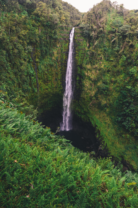 waterfall, falls, Hawaii, Big Island, Akaka, Hilo, Hike, state, park, walk